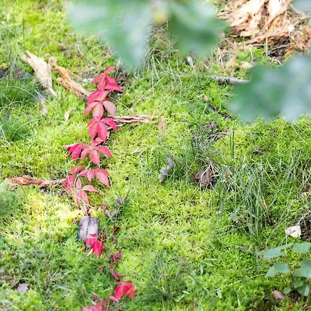 Tatil Evi 3685-nexo-tangvej-8-a