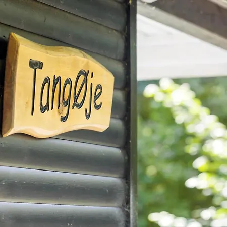 Tatil Evi 3685-nexo-tangvej-8-a